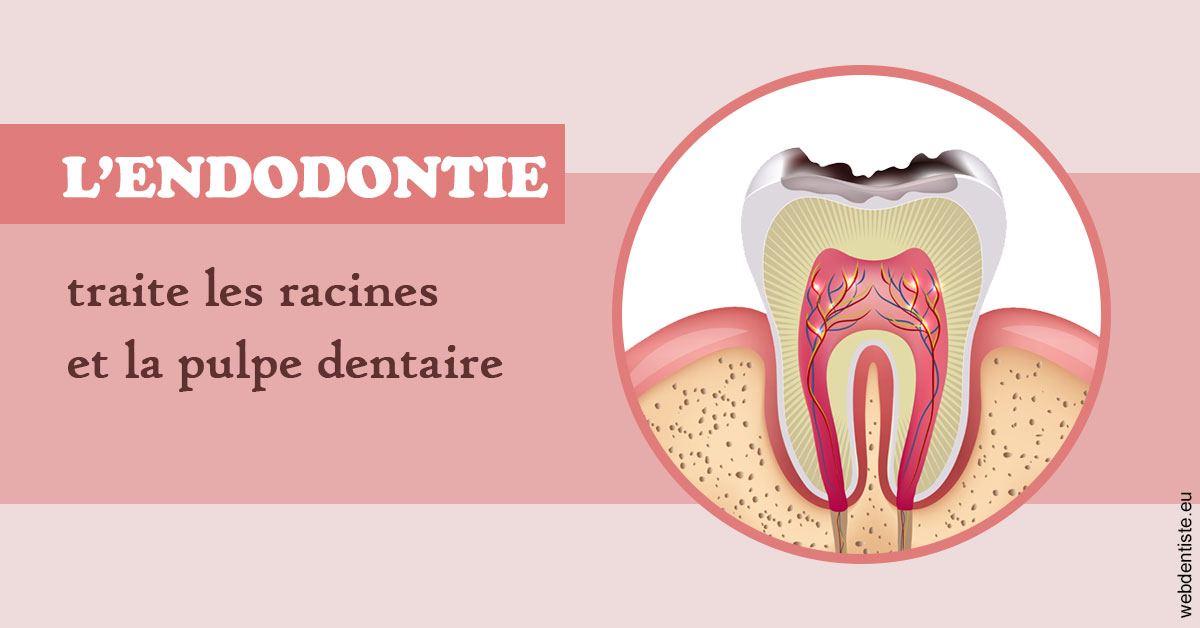 https://dr-tavel-vanessa.chirurgiens-dentistes.fr/L'endodontie 2