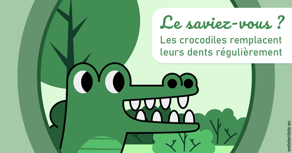 https://dr-tavel-vanessa.chirurgiens-dentistes.fr/Crocodiles 2