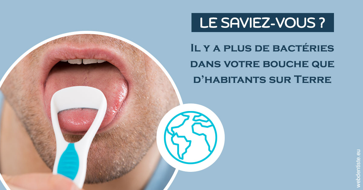 https://dr-tavel-vanessa.chirurgiens-dentistes.fr/Bactéries dans votre bouche 2